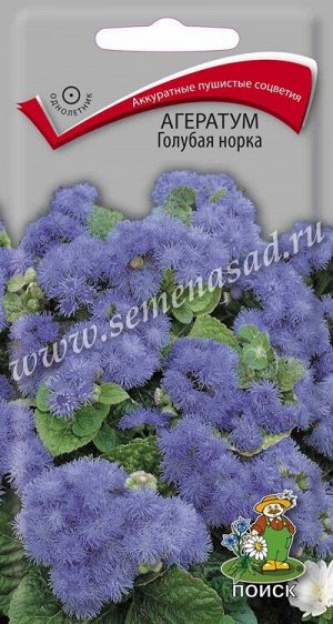Агератум Голубая норка (ЦВ) ("1) 0,1гр.
