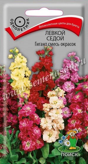 Левкой седой Гигант смесь окрасок (ЦВ) ("1) 0,1гр.
