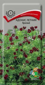 Адонис летний Красный (ЦВ) (&quot;1) 0,3гр.