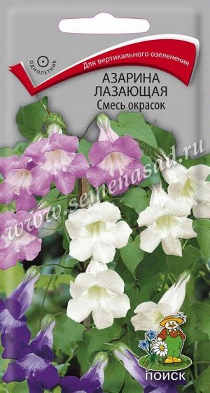 Азарина лазающая Смесь окрасок (ЦВ) ("1) 10шт.