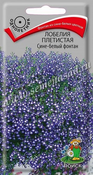Лобелия плетистая Сине-белый фонтан (ЦВ) ("1) 0,1гр.