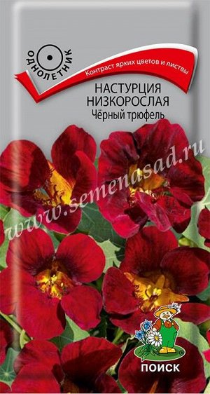 Настурция низкорослая Чёрный трюфель (ЦВ) ("1) 1гр.