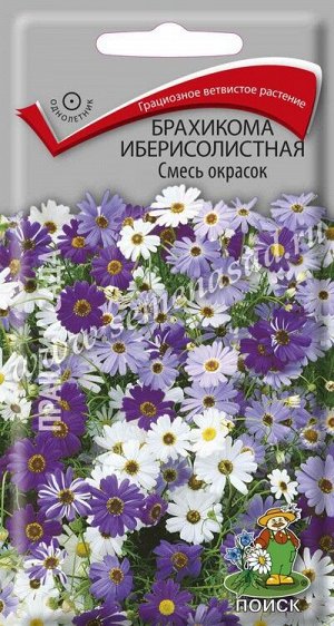 Брахикома иберисолистная Смесь окрасок (ЦВ) ("1) 0,03гр.