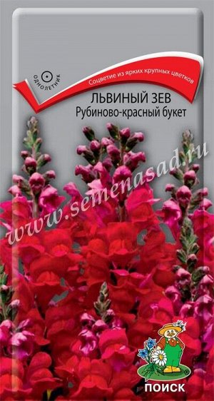 Львиный зев (Антирринум) Рубиново-красный букет (ЦВ ) ("1) 0,1гр.
