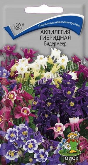 Аквилегия гибридная Бидермеер (ЦВ) ("М) 0,1гр.