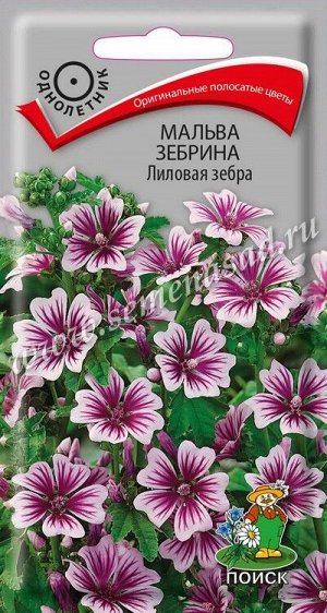 Мальва зебрина Лиловая зебра (ЦВ) ("1) 0,2гр.