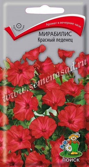 Мирабилис (ялапа) Красный леденец (ЦВ) ("1) 1гр.