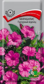 Мирабилис (ялапа) Пурпурный леденец (ЦВ) (&quot;1) 1гр.