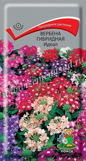 Вербена гибридная Идеал (ЦВ) ("1) 0,2гр.