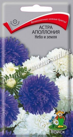 Астра (однолетняя) Аполлония Небо и земля (ЦВ) ("1) 0,3гр