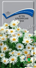 Астра альпийская Белая (ЦВ) (&quot;М) 0,04гр.