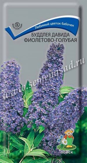 Буддлея Давида Фиолетово-голубая (ЦВ) ("М) 0,01гр.