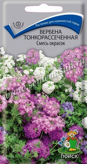 Вербена тонкорассеченная Смесь окрасок (ЦВ) ("М) 0,02гр
