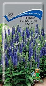 Вероника (колосковая) колосистая Голубая (ЦВ) (&quot;М) 0,1гр.