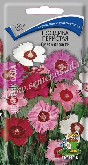 Гвоздика перистая Смесь окрасок (ЦВ) ("М) 0,3гр.