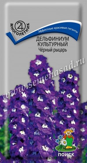 Дельфиниум культурный Чёрный рыцарь (ЦВ) ("М) 0,05гр.