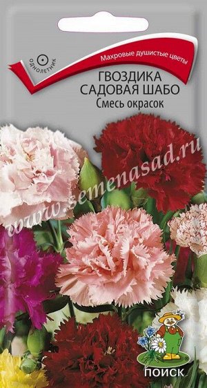 Гвоздика садовая Шабо Смесь окрасок (ЦВ ) ("1) 0,3гр.