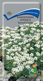 Камнеломка Арендса Белый ковёр (ЦВ) (&quot;М) 0,01гр.