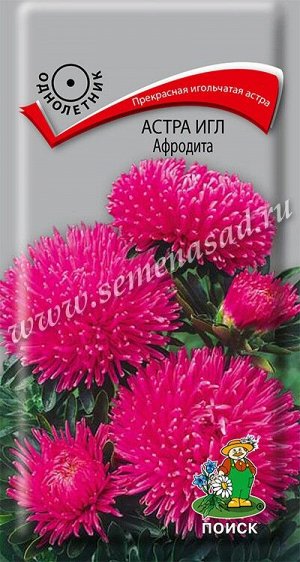 Астра (однолетняя) игл Афродита (ЦВ) ("1) 0,3гр