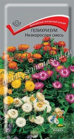 Гелихризум Низкорослая смесь (ЦВ) (&quot;1) 0,1гр.