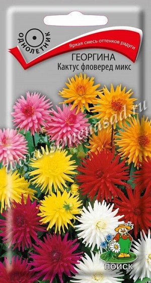 Георгина Кактус фловеред микс (ЦВ) ("1) 0,2гр.