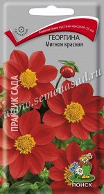 Георгина Мигнон красная (ЦВ) (&quot;1) 0,2гр.