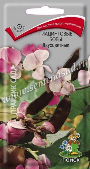 Гиацинтовые бобы (Долихос обыкновенный) Двухцветные (ЦВ) ("1) 1гр.
