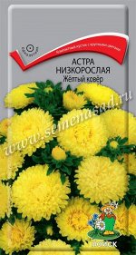 Астра низкорослая &quot;Желтый ковер&quot;
