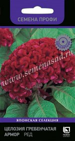 Целлозия Гребенчатая Армор Ред (Код: 90604)