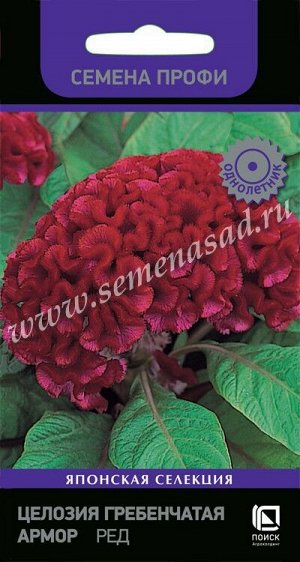 Целлозия Гребенчатая Армор Ред (Код: 90604)