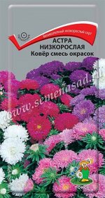 Астра (однолетняя) низкорослая Ковёр смесь окрасок (ЦВ) (&quot;1) 0,2гр.