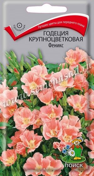 Годеция крупноцветковая Феникс (ЦВ) (1") 0,2гр.