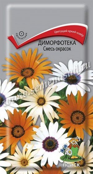 Диморфотека Смесь окрасок (Код: 66863)