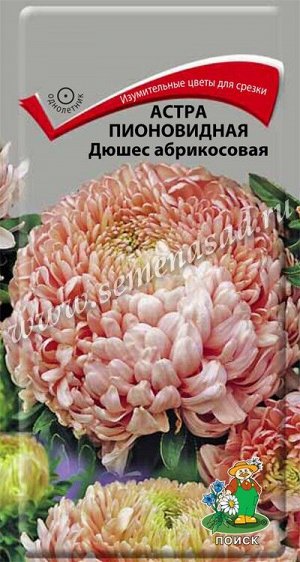 Астра (однолетняя) пионовидная Дюшес абрикосовая (ЦВ) ("1) 0,3гр.