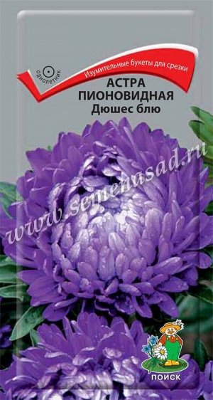 Астра (однолетняя) пионовидная Дюшес блю (ЦВ) ("1) 0,3гр.