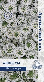 Алиссум &quot;Белое море&quot;