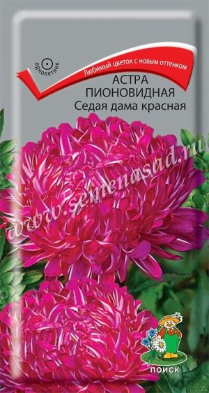 Астра (однолетняя) пионовидная Седая дама красная (ЦВ) ("1) 0,3гр.