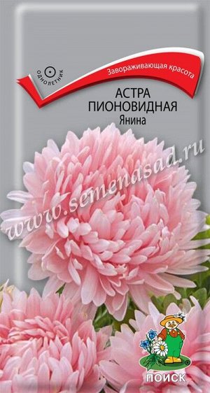 Астра (однолетняя) пионовидная Янина (ЦВ) ("1) 0,3гр.