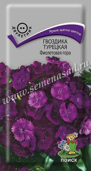Гвоздика (бородатая) Турецкая Фиолетовая гора (ЦВ) ("2) 0,25гр.
