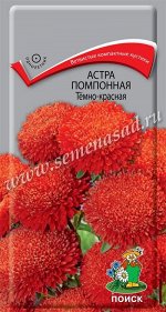 Астра (однолетняя) помпонная Тёмно-красная ( ЦВ) (&quot;1) 0,3гр.