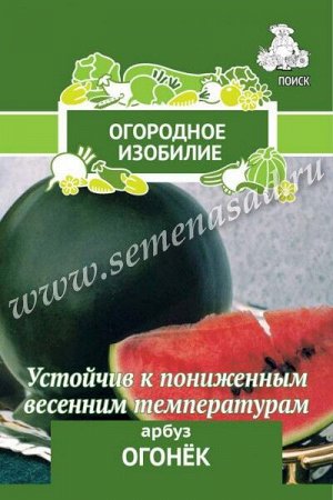 Арбуз Огонек (Огородное изобилие) 1гр