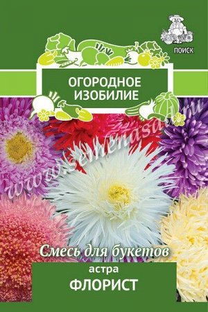 Астра (однолетняя) Флорист (Огородное изобилие) ("1) 0,3гр