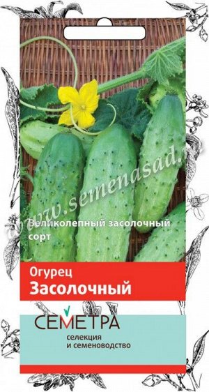 Огурец Засолочный (Семетра)  0,5гр.