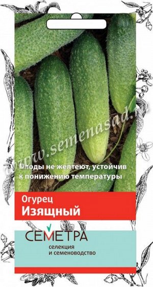 Огурец Изящный (Семетра)  0,5гр.