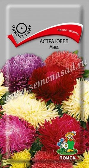 Астра (однолетняя) ювел Микс (ЦВ) ("1) 0,2гр.