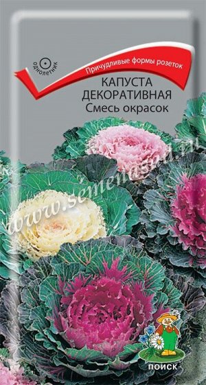 Капуста декоративная Смесь окрасок (ЦВ) (1") 0,25гр.