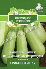 Кабачок &quot;Грибовские 37&quot;