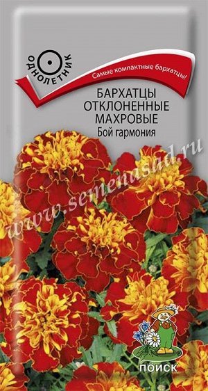 Бархатцы отклоненные махровые (Тагетес отклонённый) Бой гармония ( ЦВ) ("1) 0,4гр.
