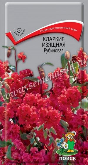 Кларкия (ноготковая) изящная Рубиновая (ЦВ ) ("1) 0,2гр.