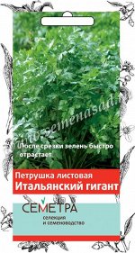 Петрушка Итальянский гигант (А)(Семетра) 3гр.